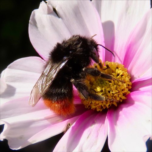 Carousel post from sallyr.w.