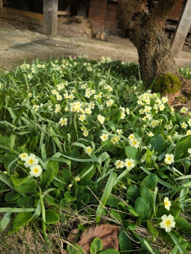 Carousel post from adventuresinlizzieland.
