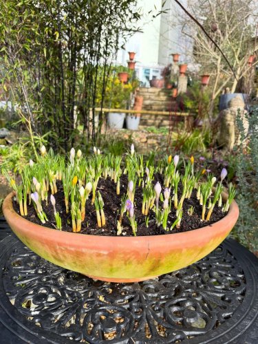 Photo post from gardenhousebrighton.