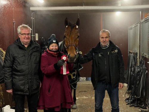 Emerald Broline & Gliding Eagle fixade med en dubbel hem från Sundbyholmstravet 🥇🥇 mattiasdjuse.se