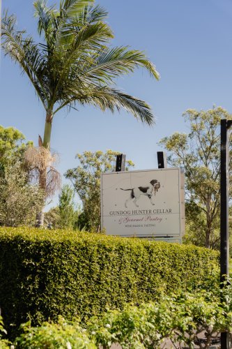 Carousel post from gundogestate.