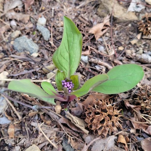 Photo post from handmadebyzibu.