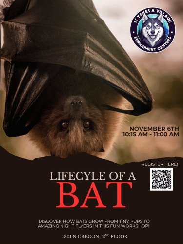 Carousel post from itavenrichmentcenters.