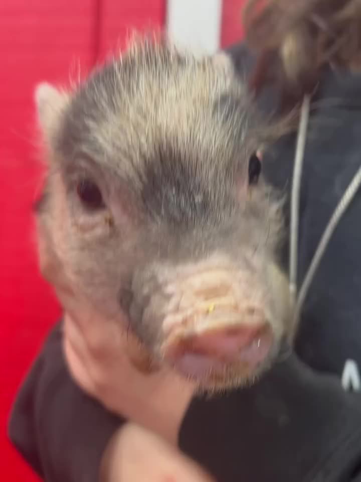 Carousel post from njexoticpets.