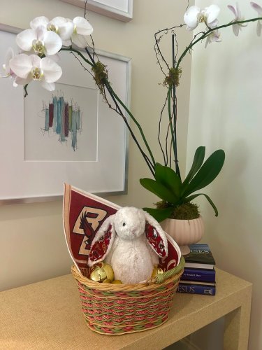 Photo post from bostoncollege.