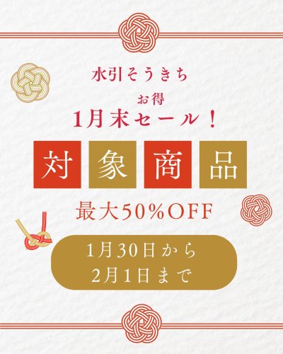水引製品のことなら南信州産直通販 水引そうきち