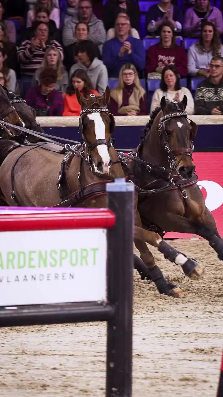 Video post from fei_global.