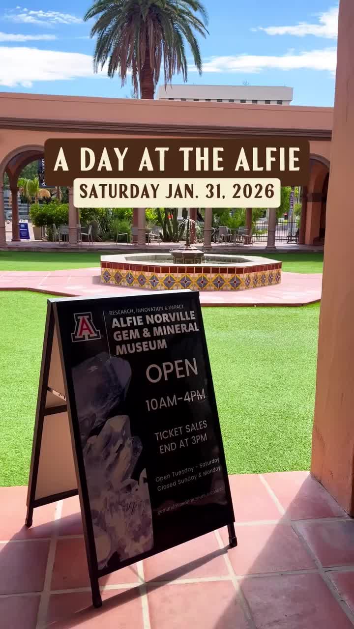 Video post from visittucson.