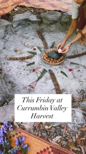 Video post from currumbinvalleyharvest.