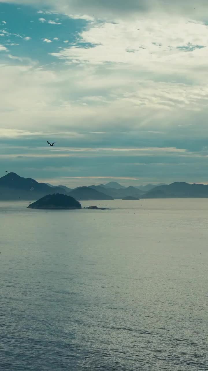 Video post from liveoficial.