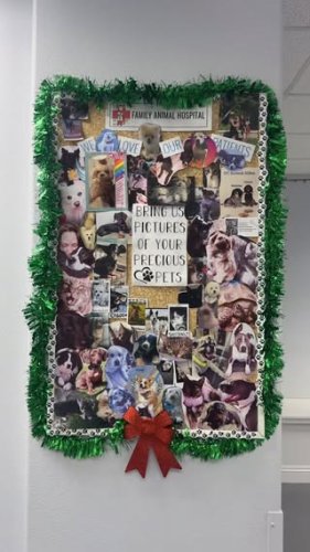 Video post from familyanimalhospitalcm.