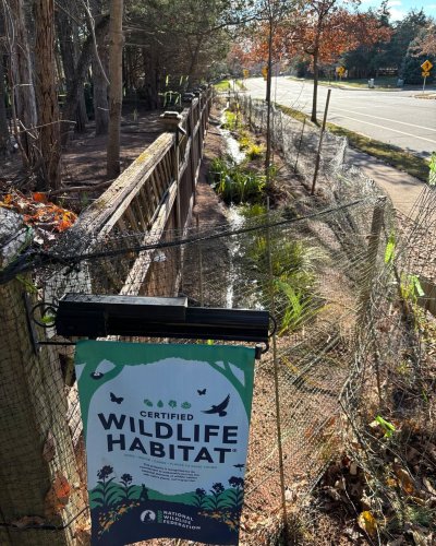 Photo post from mireade2025.