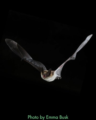 Carousel post from nwbathub.