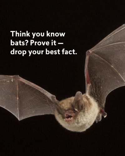 Photo post from theconservationfund.