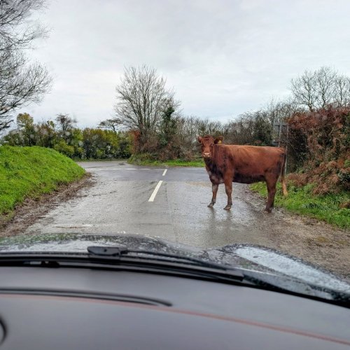 Photo post from scott.parry.associates.