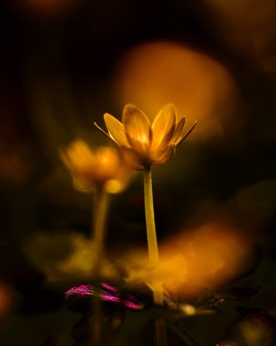 Photo post from chris_marshall_art_photography.