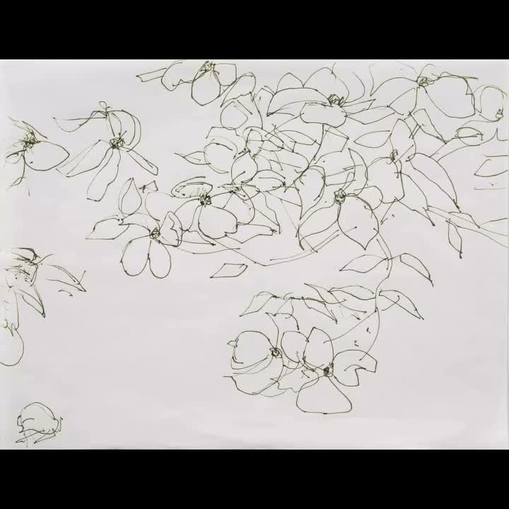 Video post from artscopemagazine.