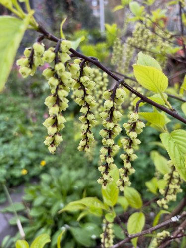Carousel post from gardenhousebrighton.