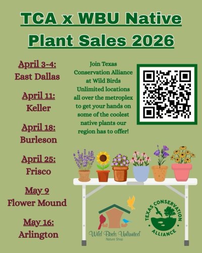 Carousel post from tcatexas.