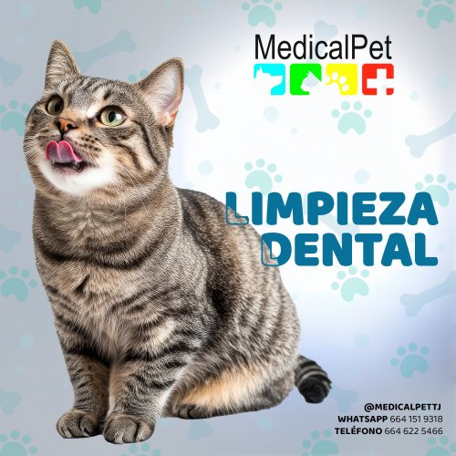 Photo post from medicalpettj.