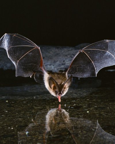 Photo post from pacificwild.