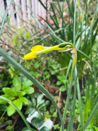 Carousel post from lucy_brewer.