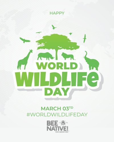 Photo post from ucanbeenative.