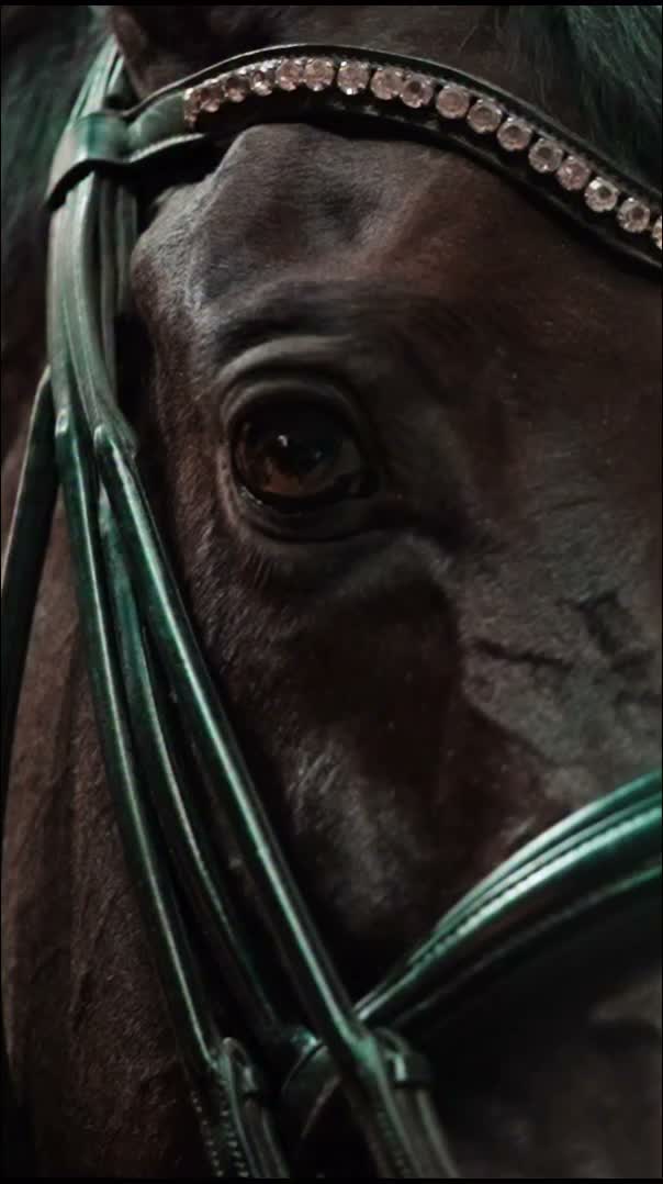 Video post from fei_global.