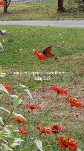 Video post from thebeeandbee042608.