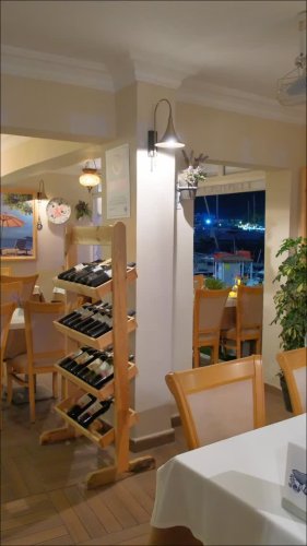 Video post from jandewit.4848.