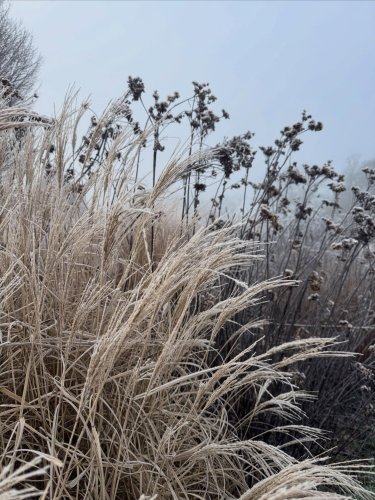 Carousel post from sussexprairies.