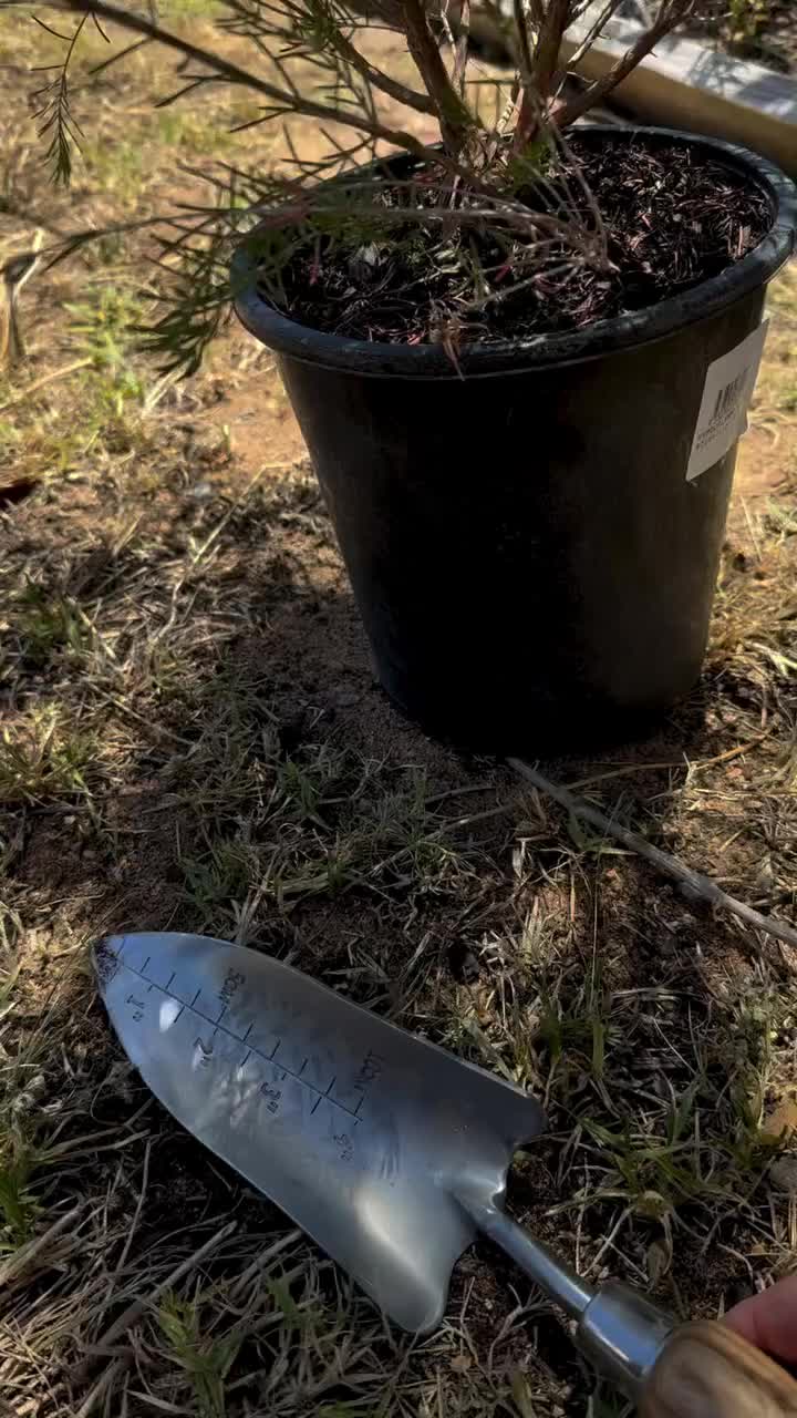 Video post from the_gardenyak.