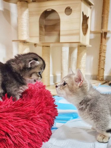 Photo post from theperfectfather.