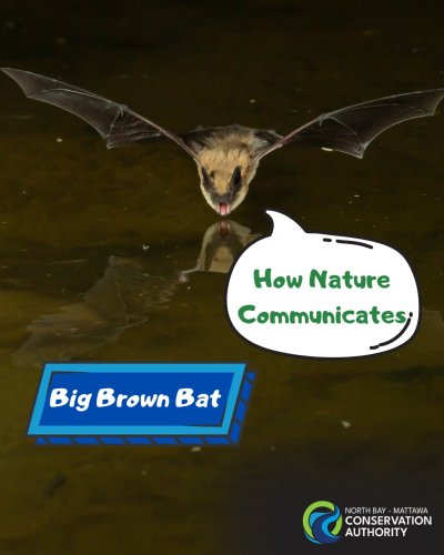 Carousel post from nbmcainfo.