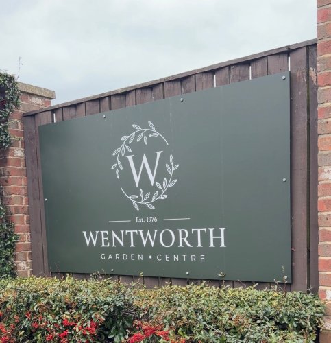 Carousel post from beeandbloomelsecar.