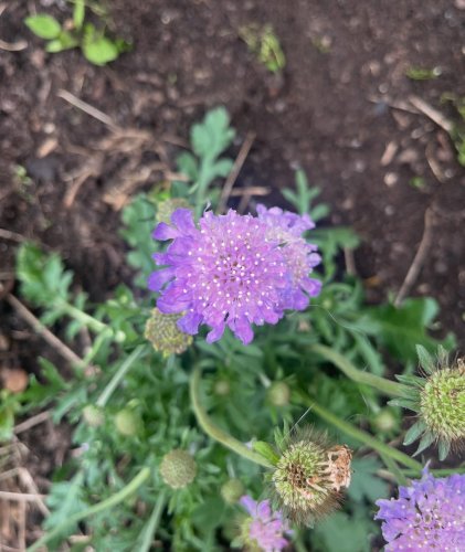 Photo post from lucy_brewer.