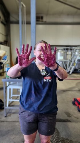 Carousel post from gundogestate.