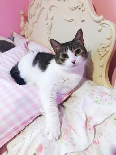 Carousel post from margaritabloom.