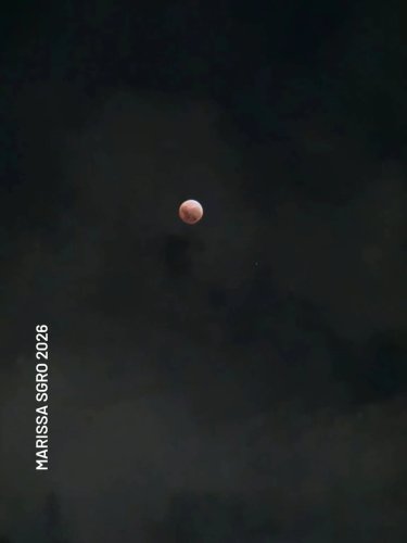 Carousel post from michelle.gardener.diy.wellness.