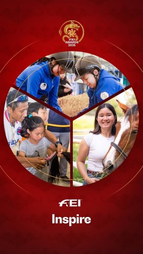 Video post from fei_global.