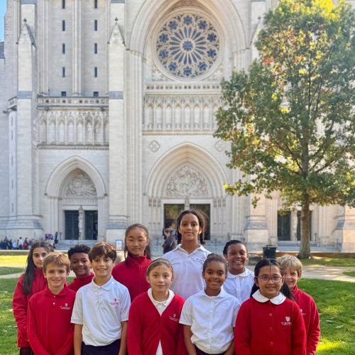 Carousel post from saeslions.