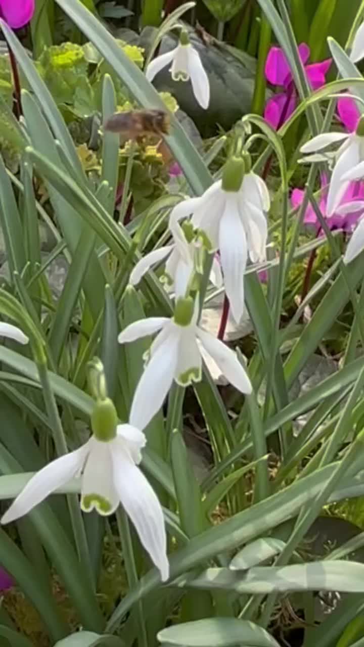 Video post from nourishflourishuk.