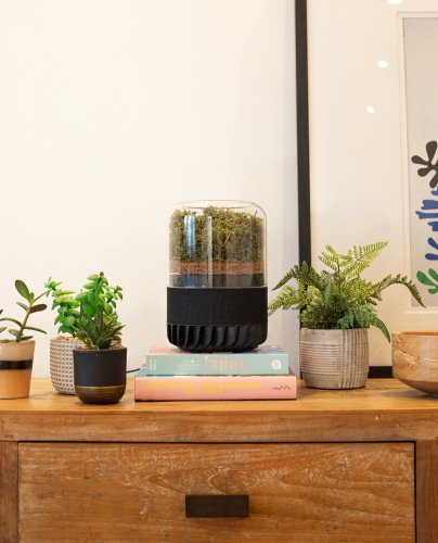 Photo post from briiv.natural.