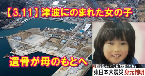 Photo post from nmomose.