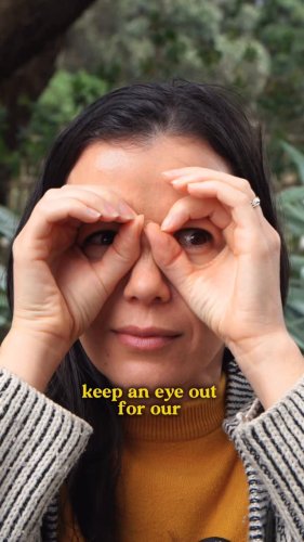 Video post from nzgreenparty.