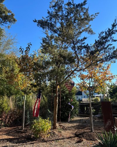 Carousel post from mireade2025.