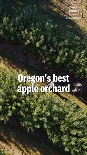Video post from hereisoregon.