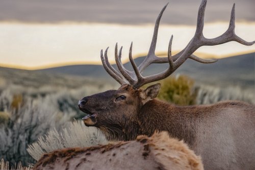 Photo post from nwfoutdoors.