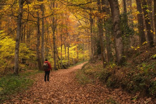 Photo post from cantabriaturismo.