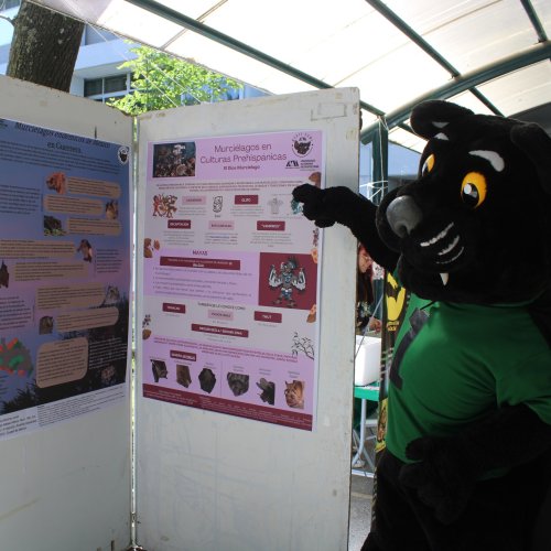 Carousel post from murci_uami.